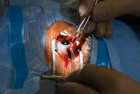 Fotografie aus Medizin und Gesundheit