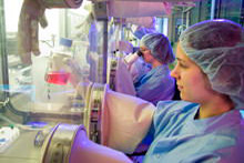 Fotografie Rainer Weisflog